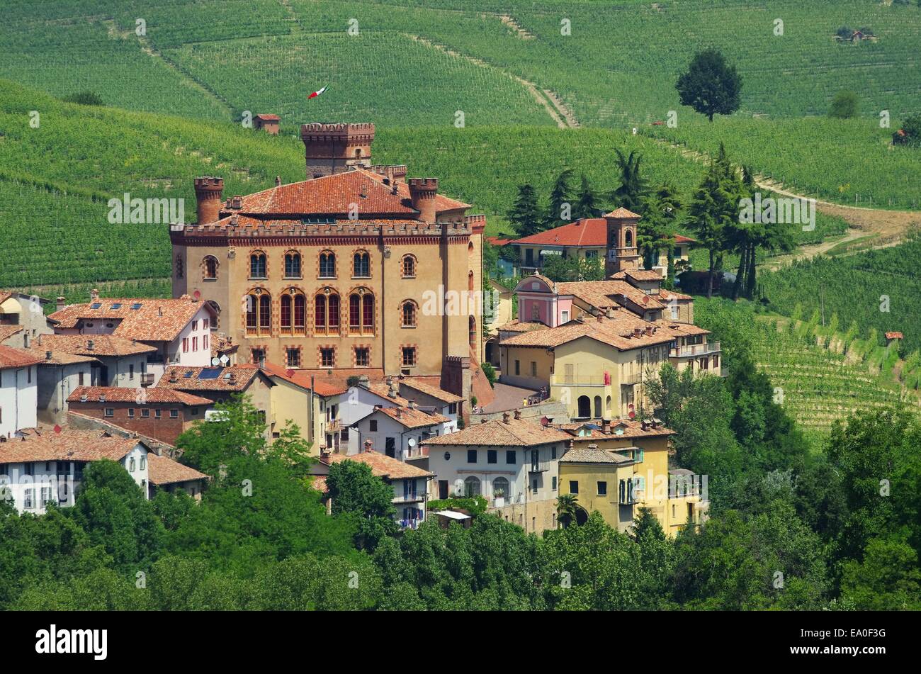 Barolo 01 Foto Stock