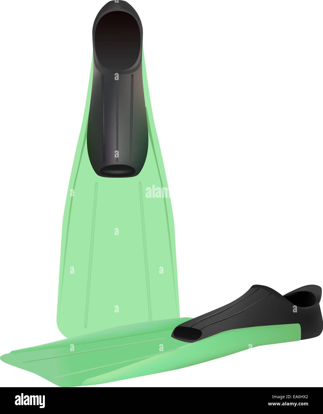 Vector realistiche le pinne da apnea su sfondo bianco Illustrazione Vettoriale