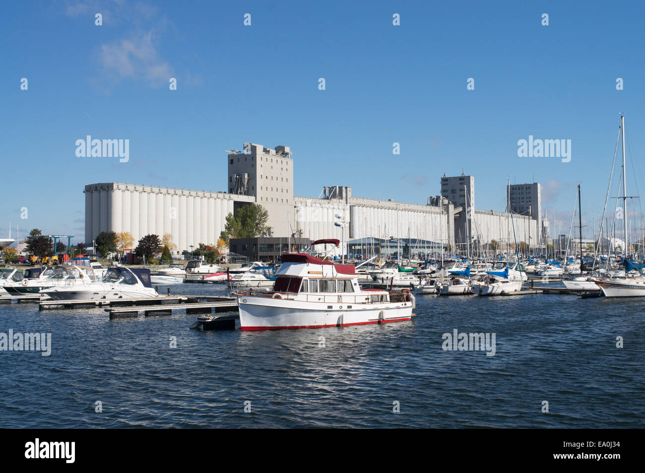 Bunge del Canada in silos per il grano dietro il porto di Quebec City, Quebec, Canada Foto Stock