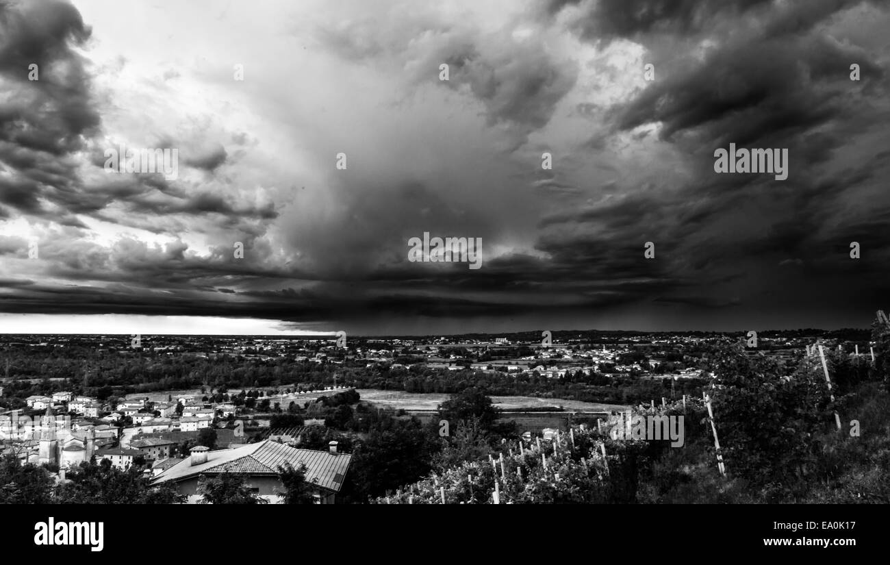 La coltivazione della vite nella campagna italiana in un tempestoso giorno di estate Foto Stock