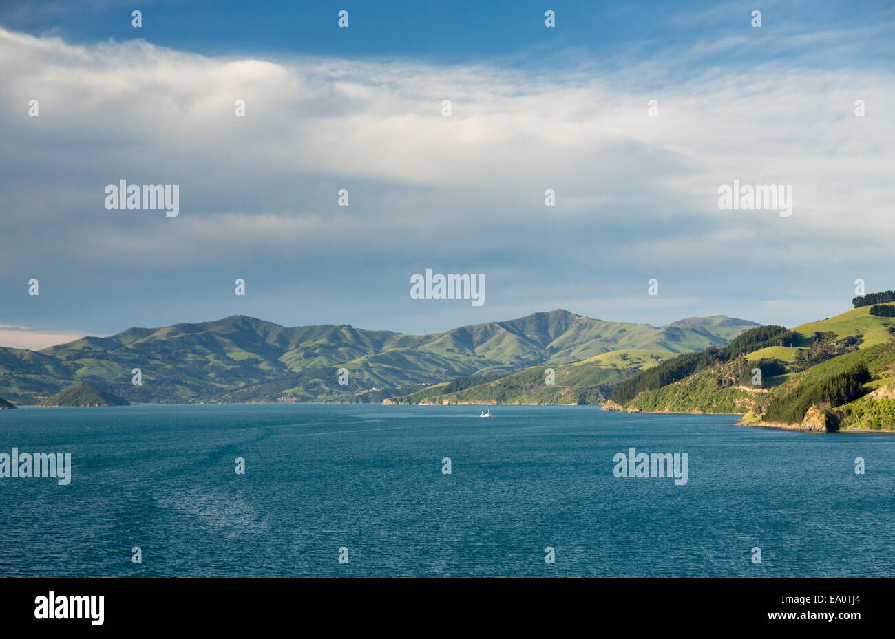 Costa al Akaroa in Nuova Zelanda Foto Stock