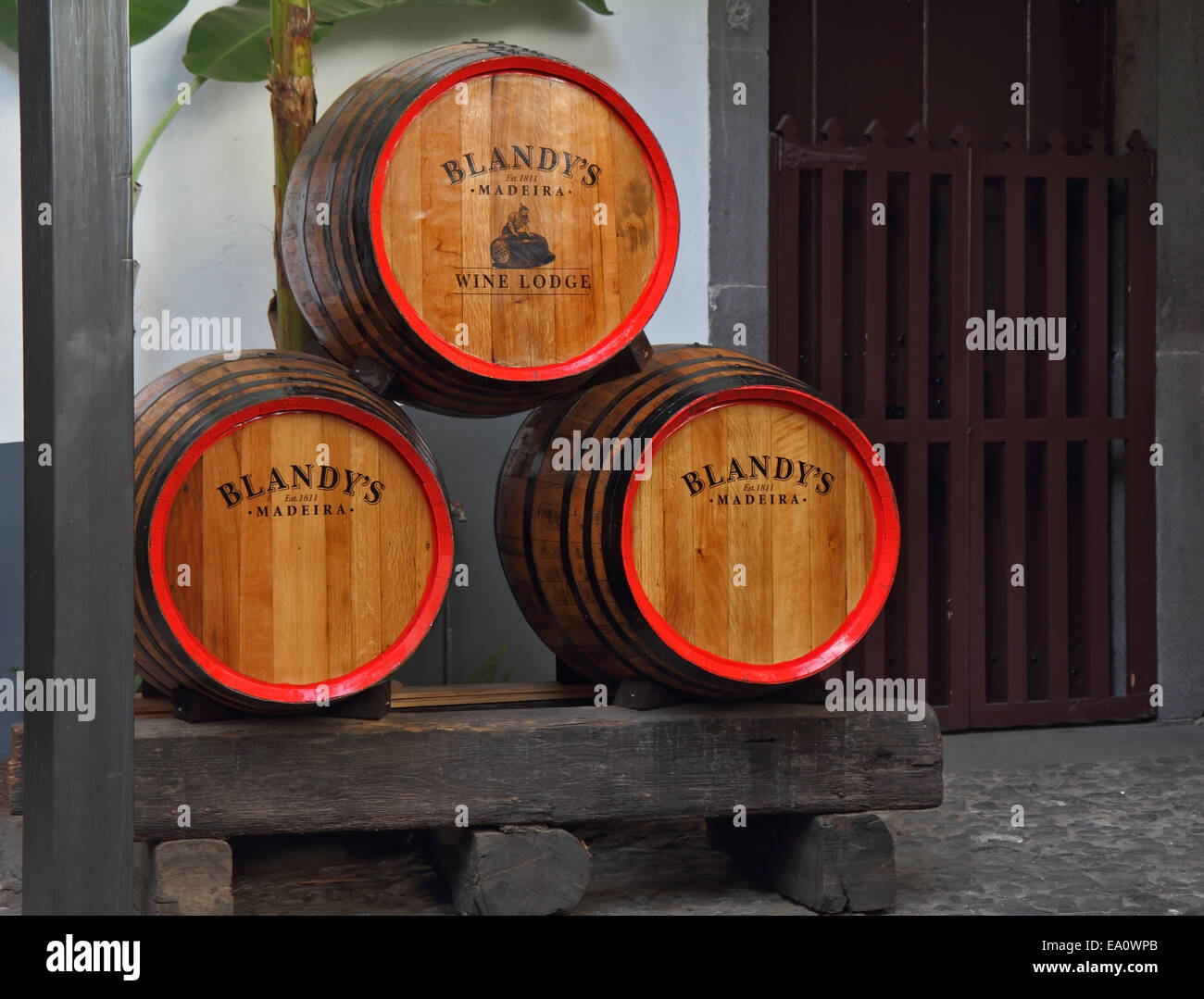 Le enormi botti di rovere di vino Madera Foto Stock
