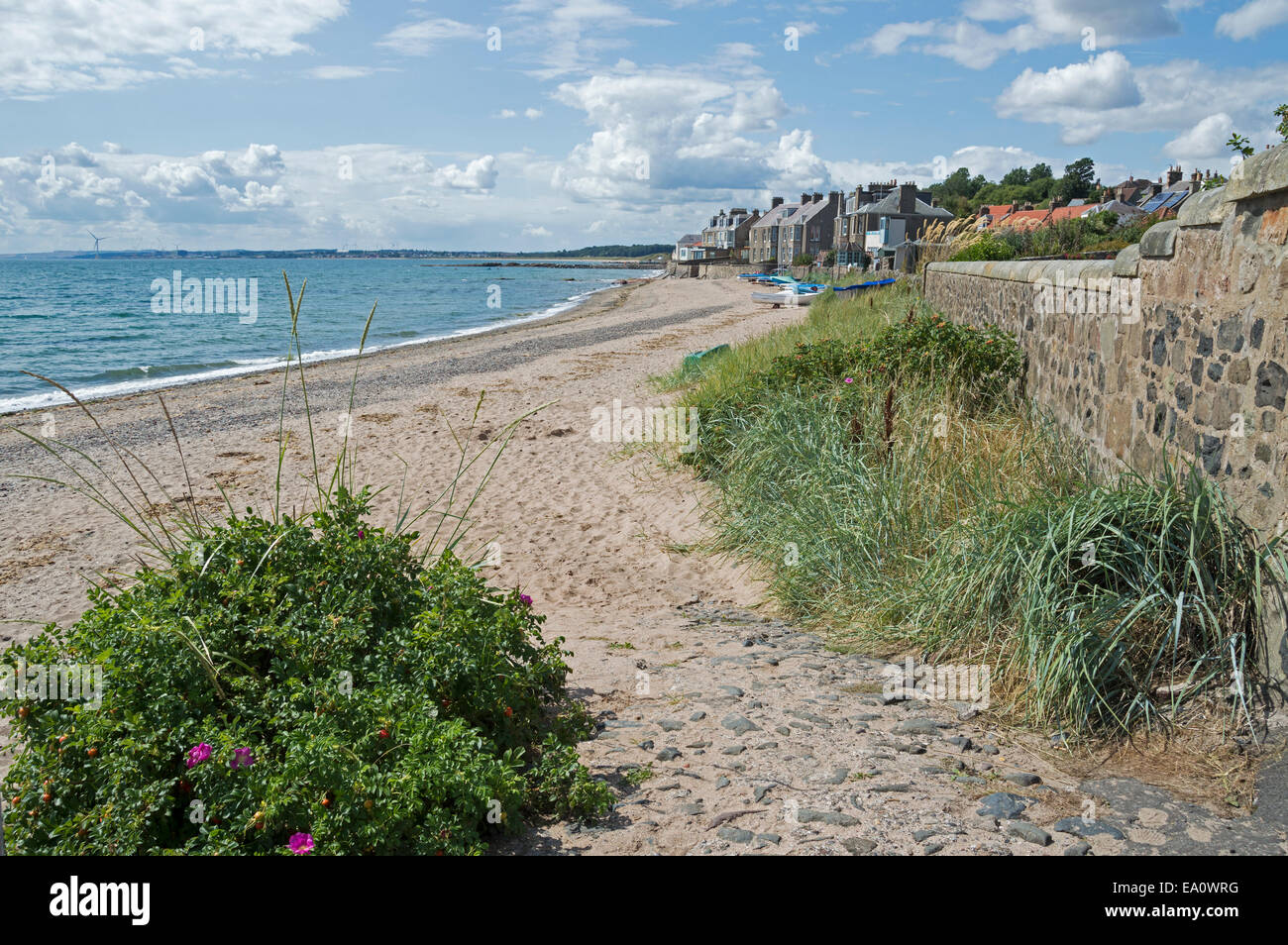 Lower Largo, sentiero costiero, Spiaggia, Firth of Forth, Fife, Scozia, Regno Unito Foto Stock