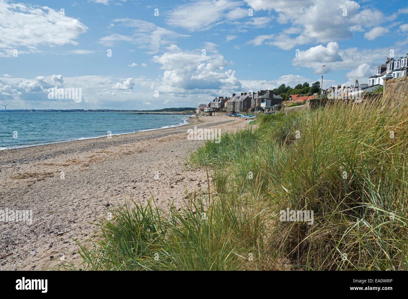 Lower Largo, sentiero costiero, Spiaggia, Firth of Forth, Fife, Scozia, Regno Unito Foto Stock