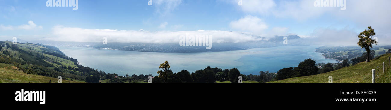 Paesaggio panoramico Baia di Otago Dunedin Foto Stock