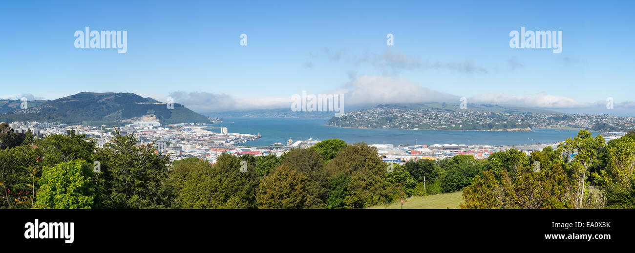 Paesaggio panoramico Baia di Otago Dunedin Foto Stock