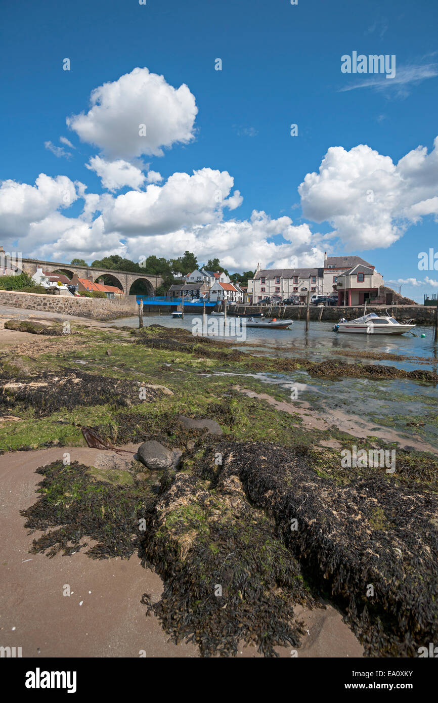 Lower Largo, Porto, sentiero costiero, Firth of Forth, Fife, Scozia, Regno Unito Foto Stock