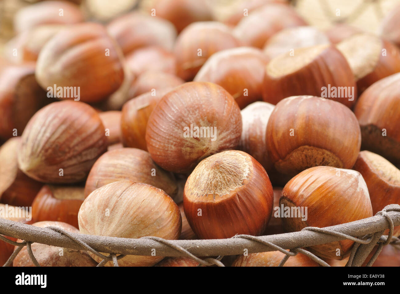 Nocciole Foto Stock