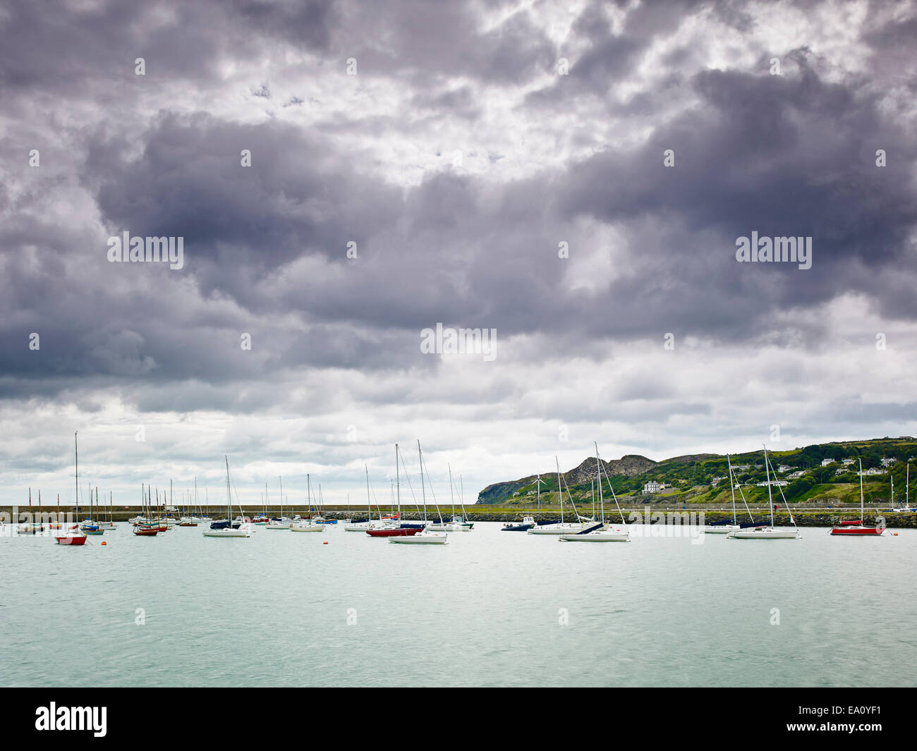 Grande gruppo di barche ancorate in porto, Howth, la baia di Dublino, Repubblica di Irlanda Foto Stock