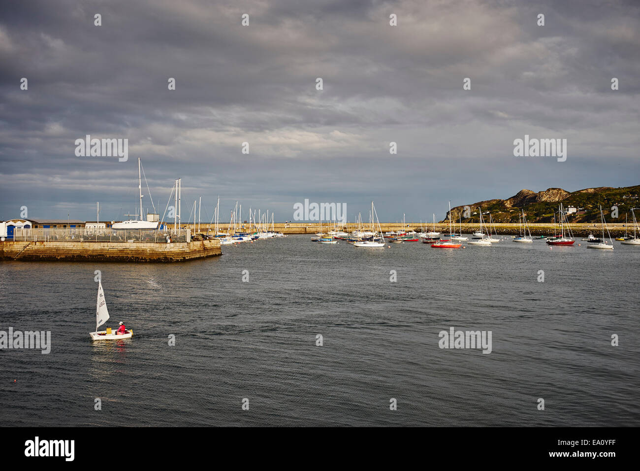 Vista delle barche a vela e il porto, Howth, la baia di Dublino, Repubblica di Irlanda Foto Stock