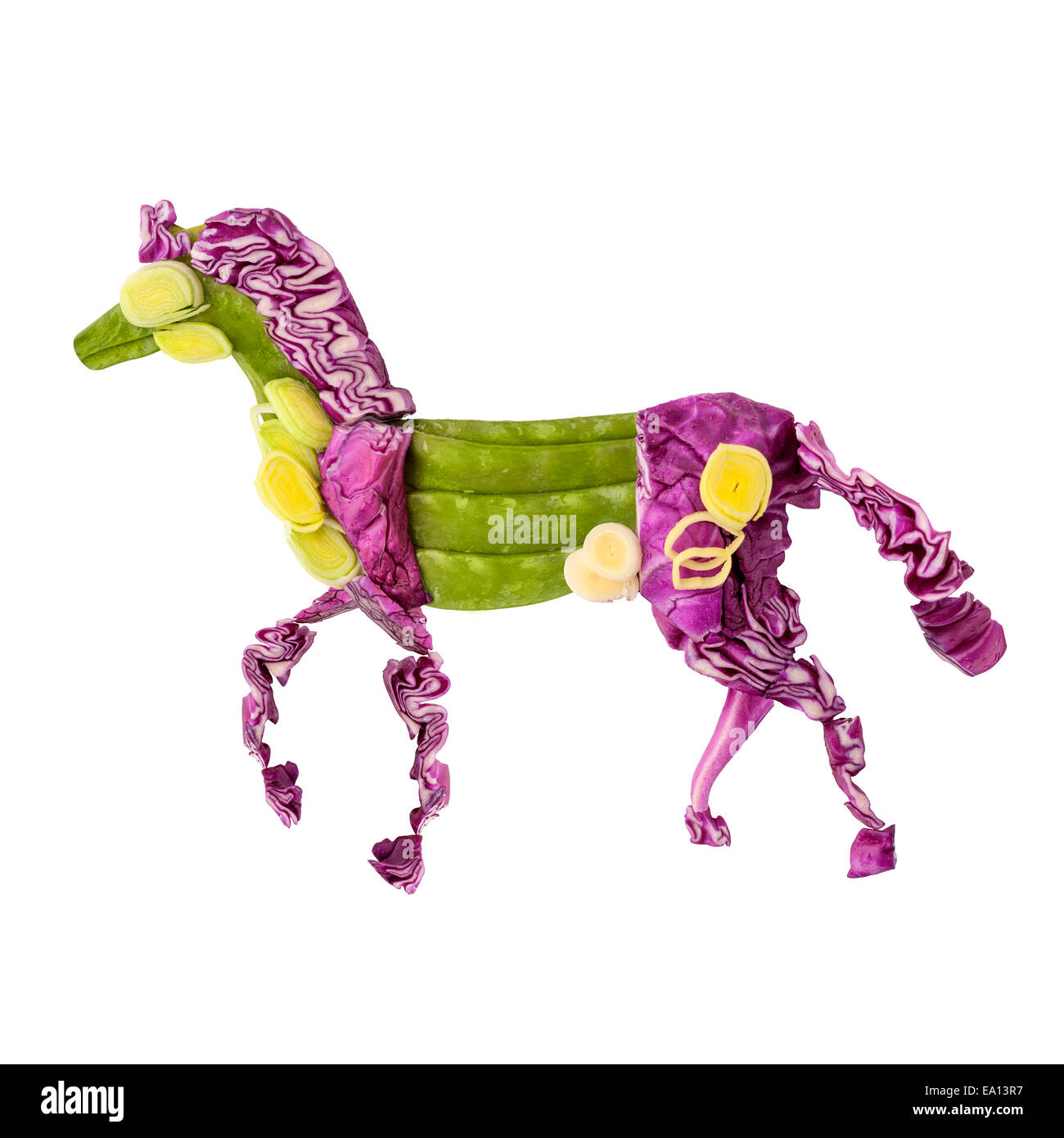 Cavallo cinese. Foto Stock