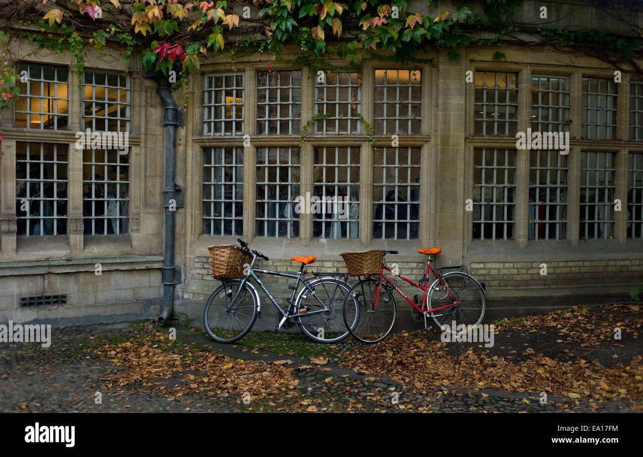 Biciclette a Cambridge, Inghilterra, Regno Unito. Ott 2014 Foto Stock