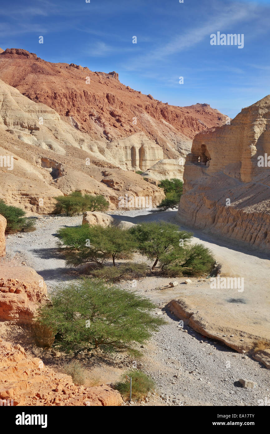 Il caldo inverno mattina Foto Stock
