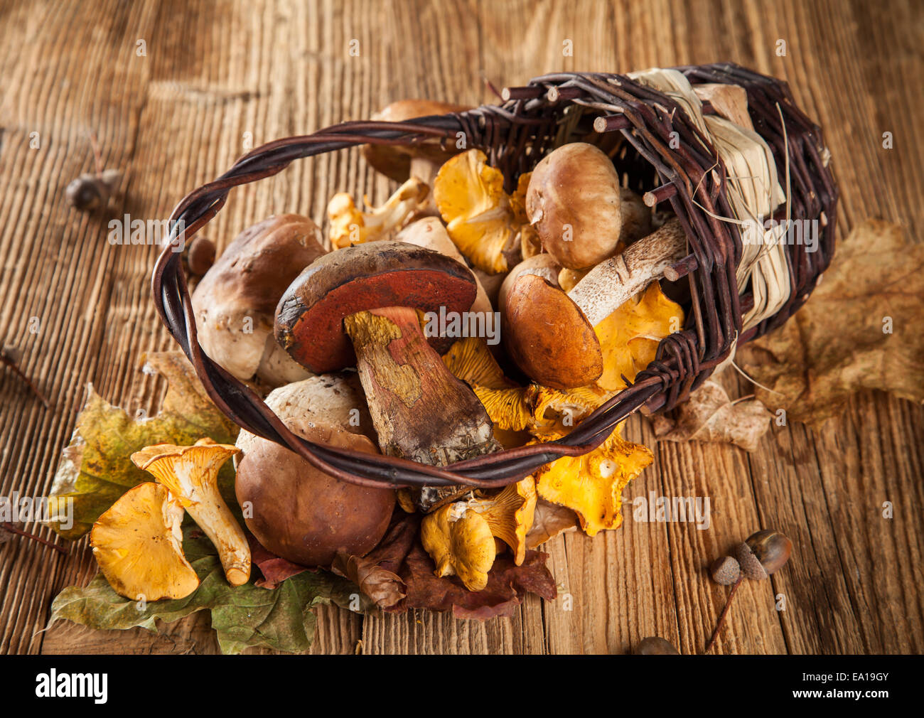 I funghi freschi sul tavolo di legno Foto Stock