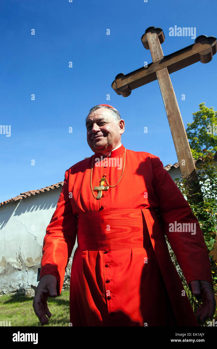 Dominik Duka è la trentaseiesima arcivescovo di Praga e un Cardinale di Santa Romana Chiesa a Stará Boleslav, Repubblica Ceca Foto Stock