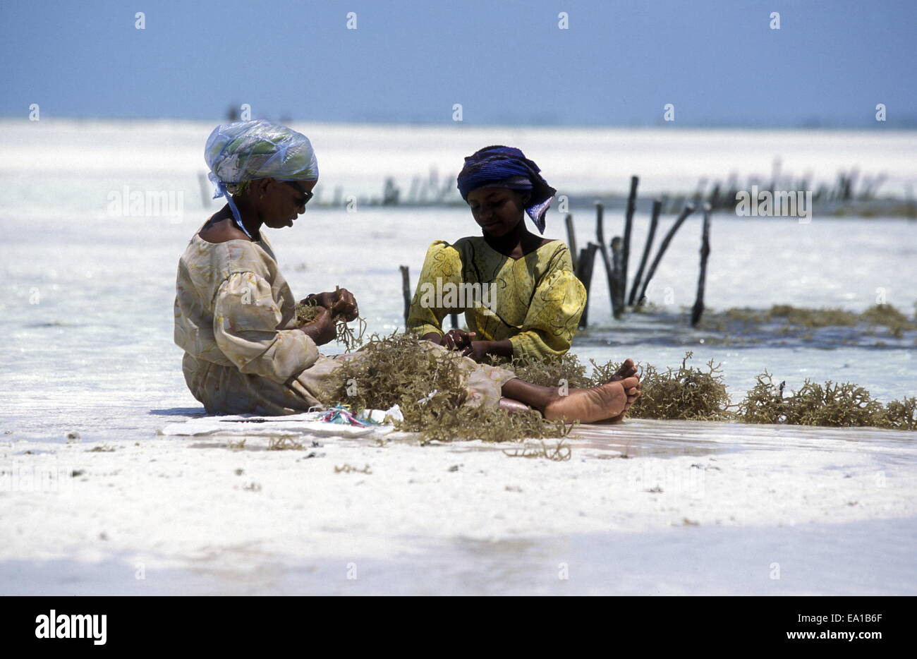 Tanzania Zanzibar Foto Stock