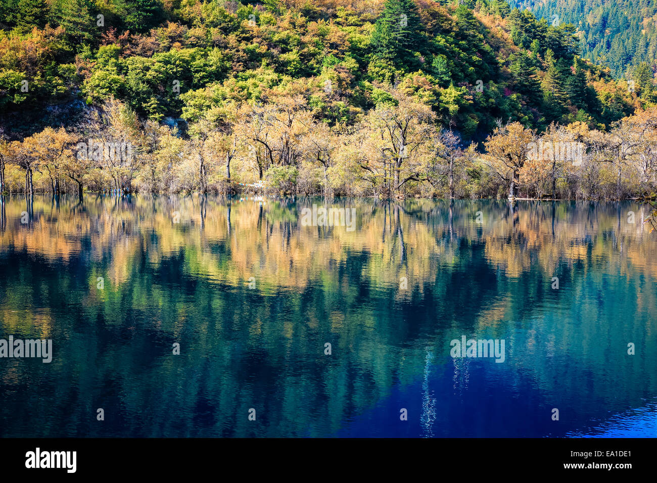 Bella jiuzhaigou in autunno Foto Stock