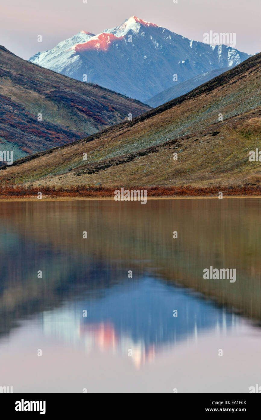 Alpenglow illumina la vetta della montagna si riflette in un remoto tundra alpina lago in Alaska Range Montagne Foto Stock