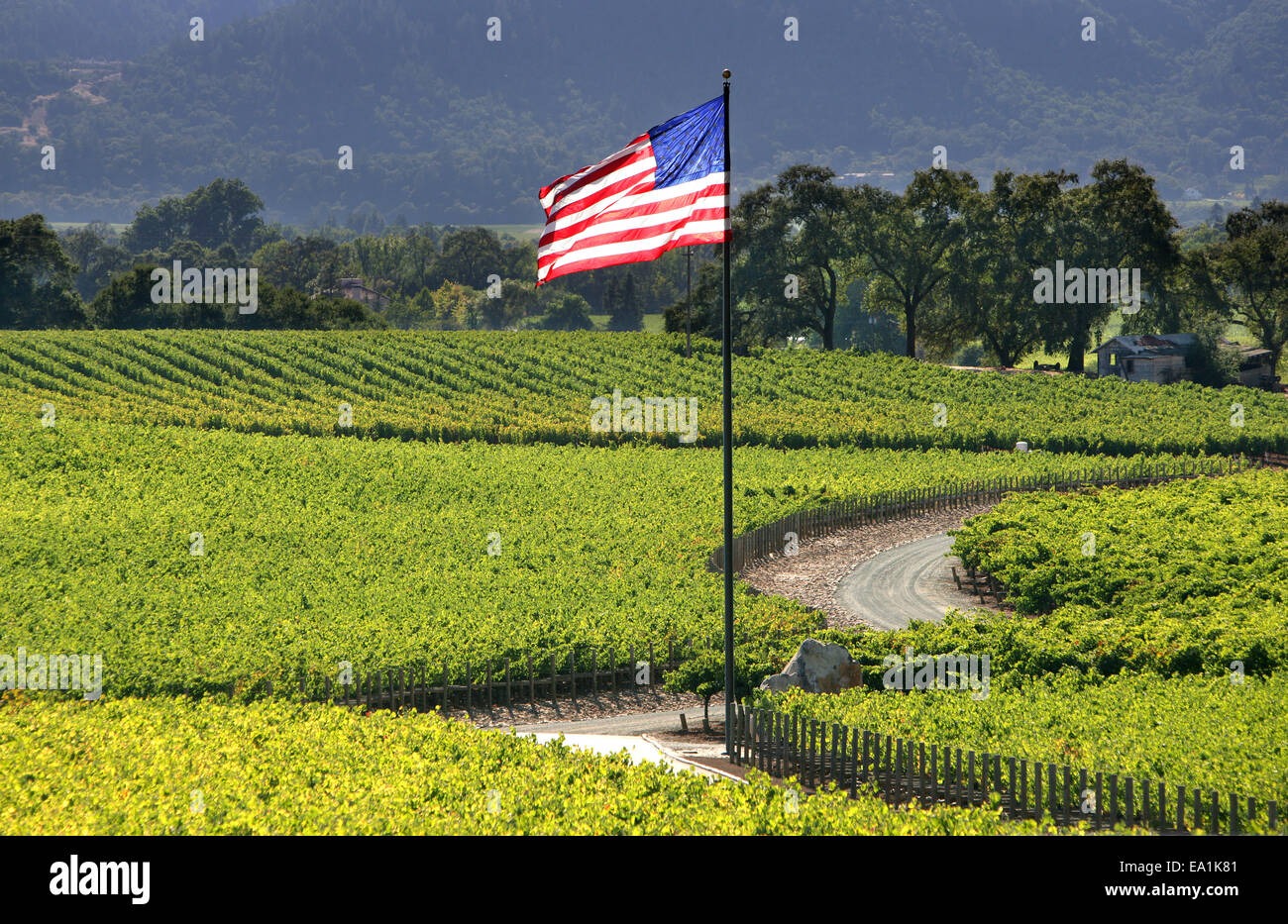 La contea di Napa, noi bandiera nei vigneti della Napa Valley, California CA USA Foto Stock