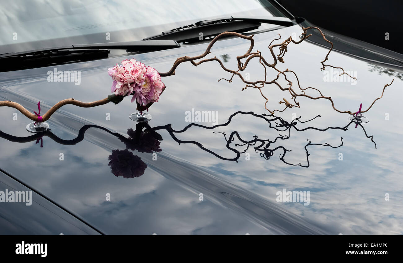Matrimonio decorazione floreale sul cofano di un'auto. L'arredamento è insolito su un auto cofano. Rametto di nocciola e garofano rosa Foto Stock