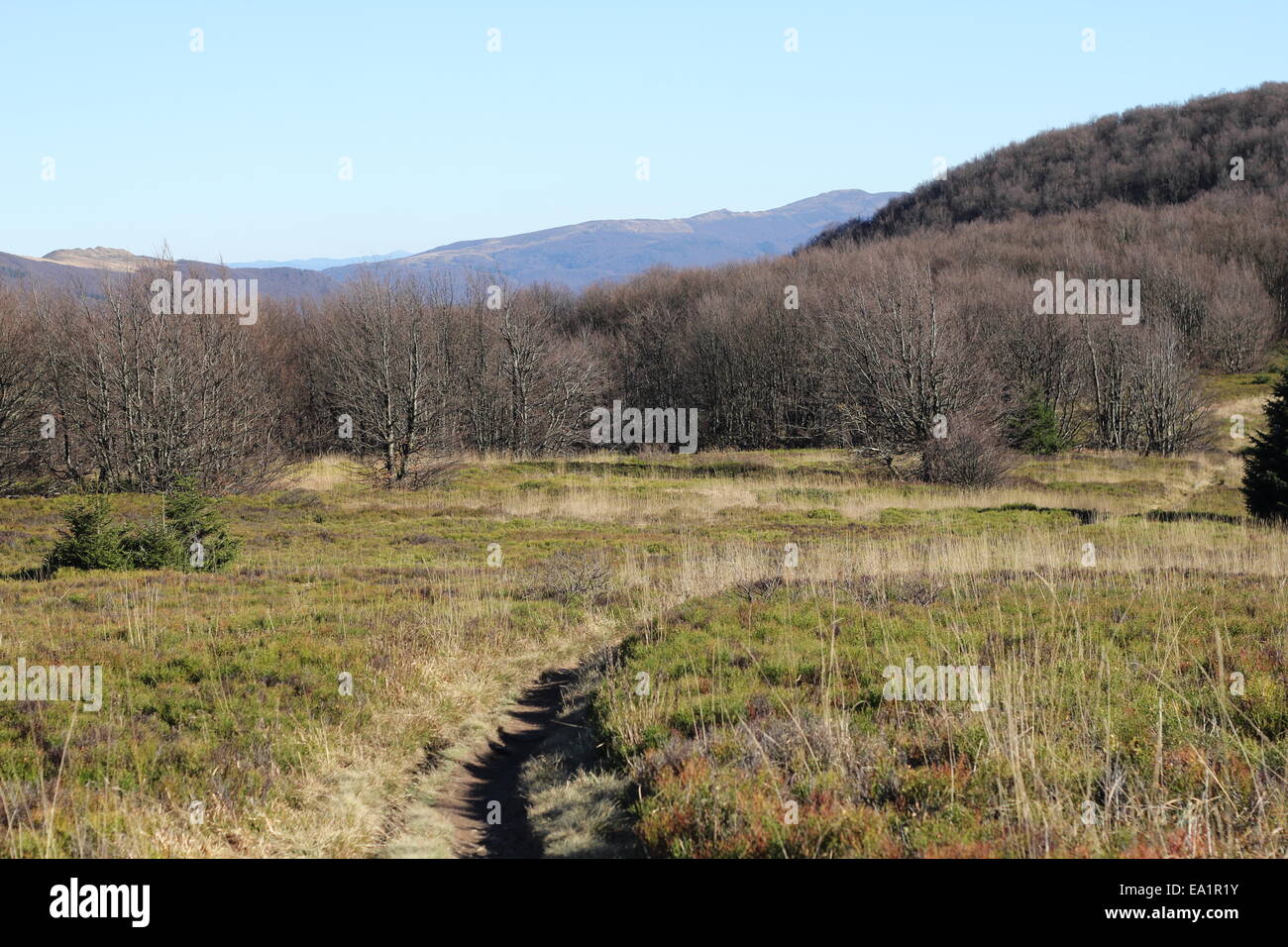 Paesaggio di montagna Foto Stock