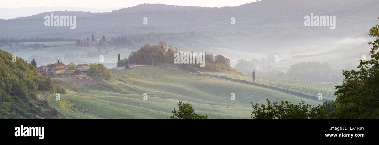 Nebbia di mattina Foto Stock