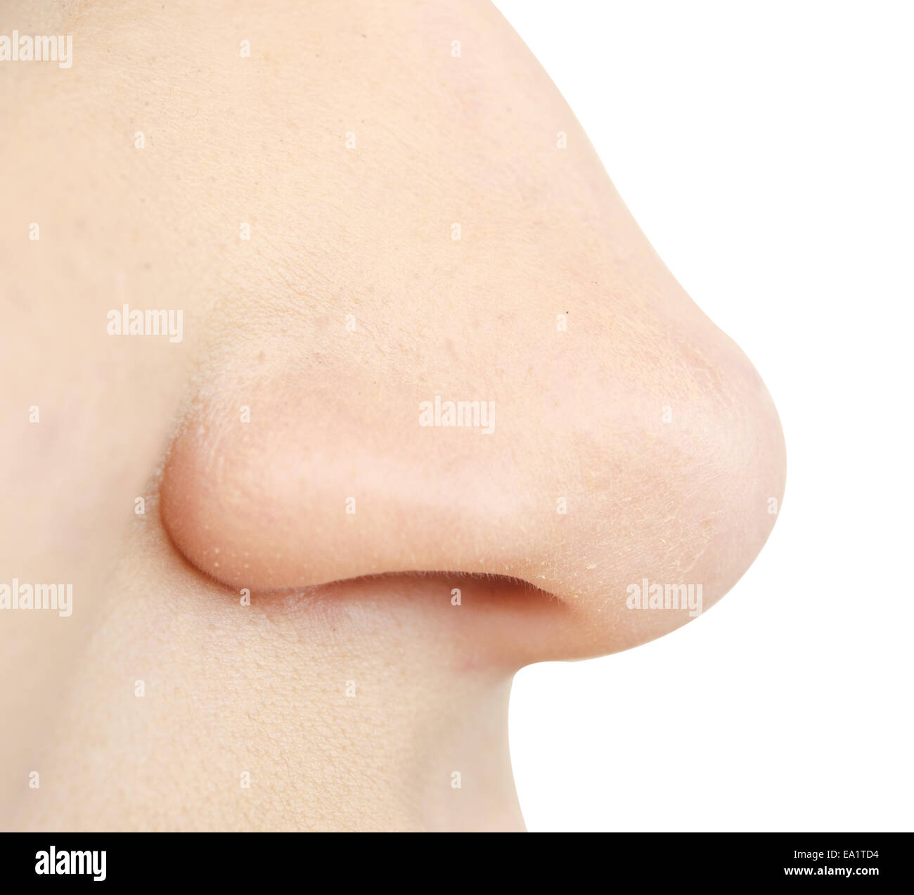 naso umano Foto Stock