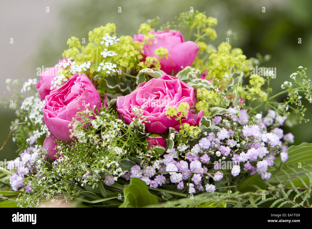 Bouquet di Rose Foto Stock