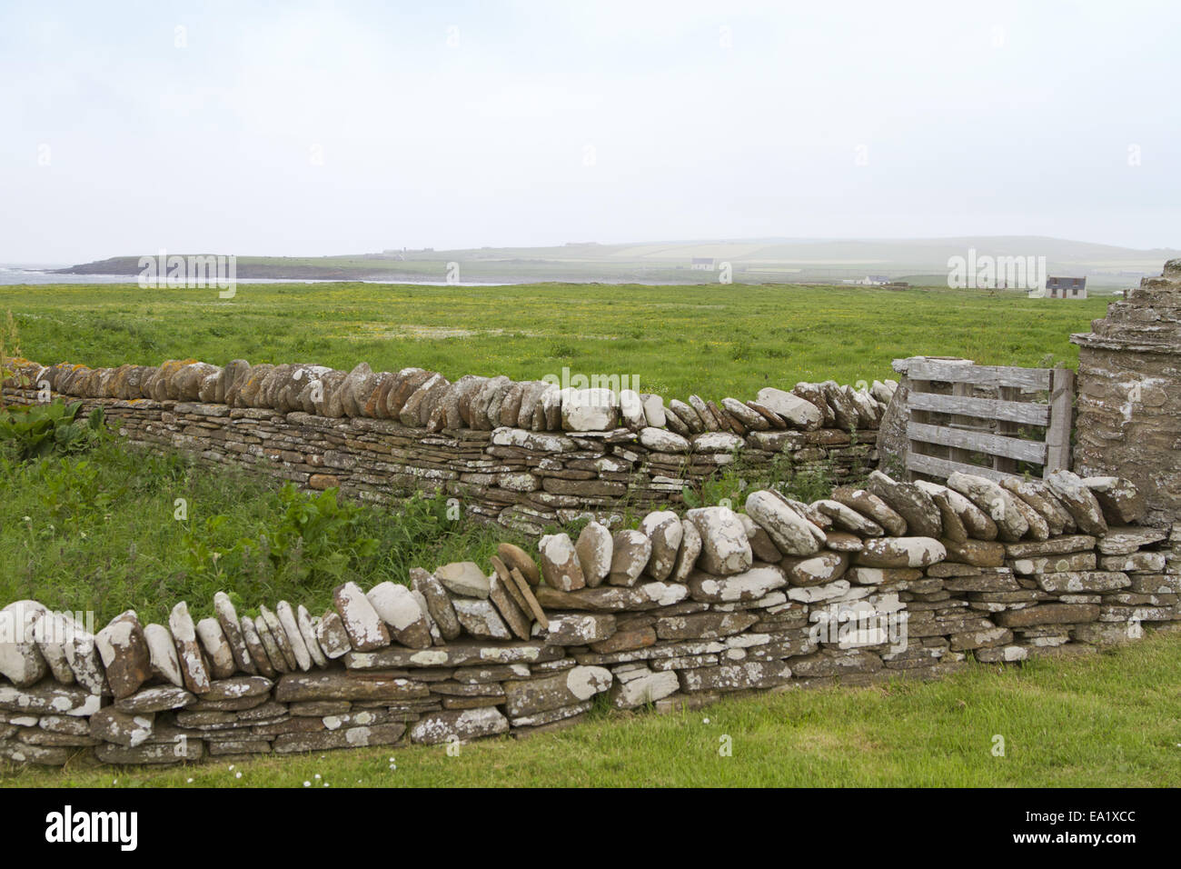 I muri in pietra in isole di Orkney Foto Stock