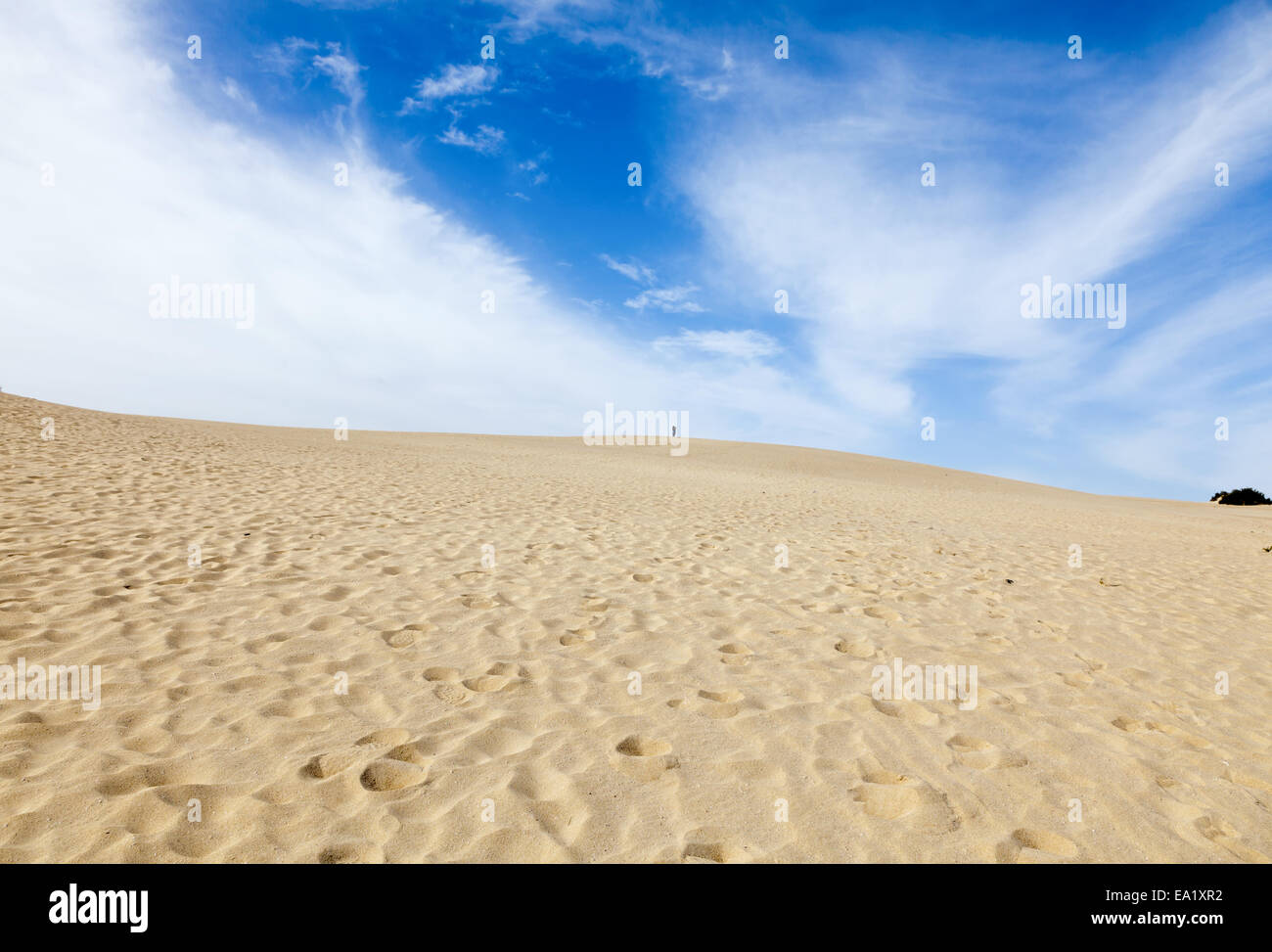 Nelle dune di El Jable Foto Stock