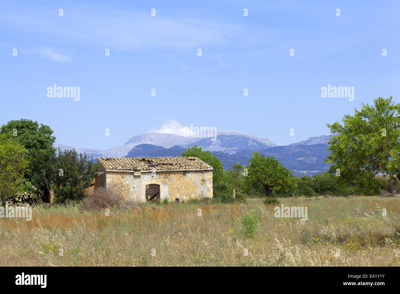 Il Rural Mallorca Foto Stock