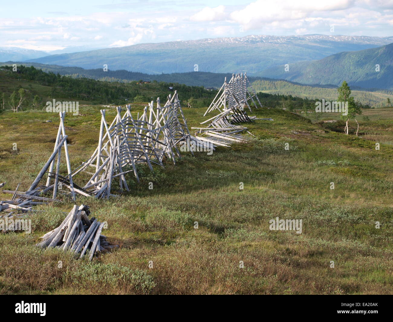 Korgfjellet Nel Nordland - Norvegia Foto Stock