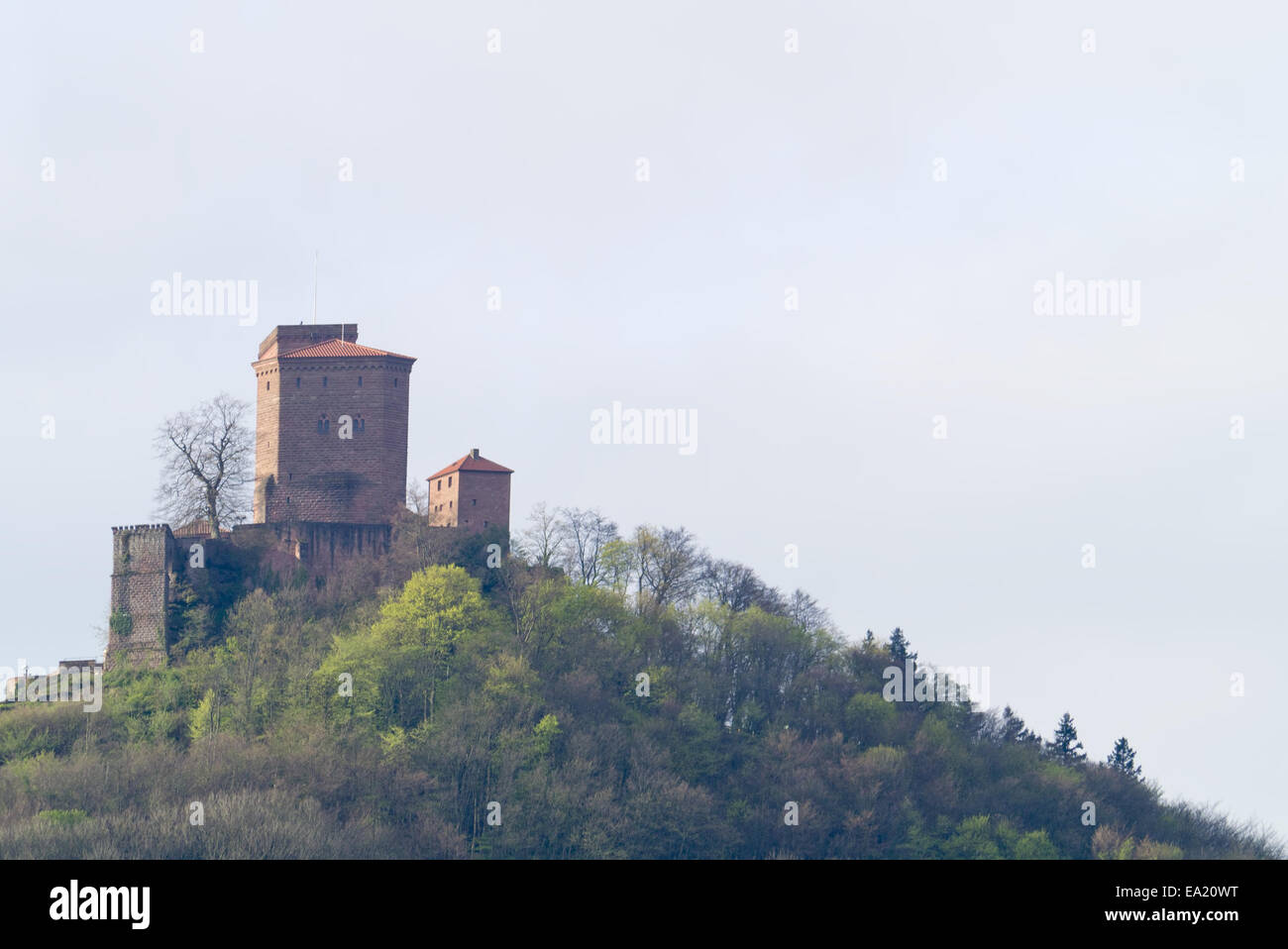 Il castello di Trifels nella luce del mattino Foto Stock