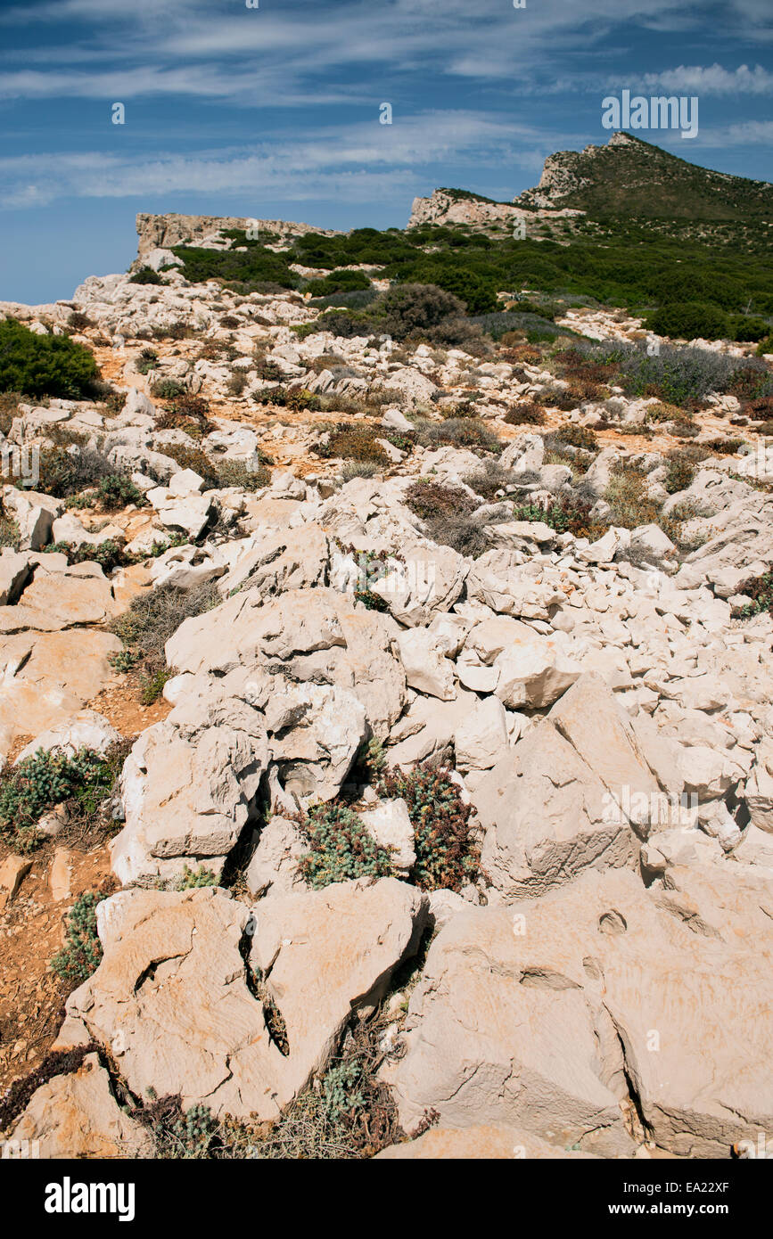 Porto Conte Parco Regionale Alghero Sardegna Italia Foto Stock
