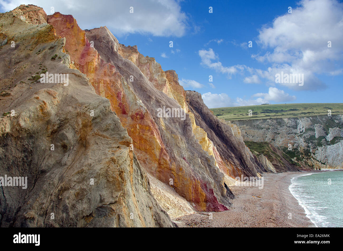 Il multi-colore di scogliere di allume Bay sull'Isola di Wight. Foto Stock