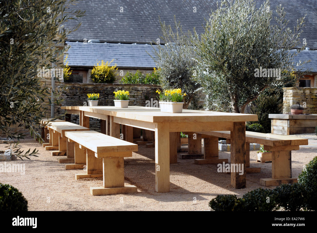 Outdoor dining tables con molla narcisi presso una scuola di cucina presso il timo a Southrop Manor Estate, GLOUCESTERSHIRE REGNO UNITO Foto Stock
