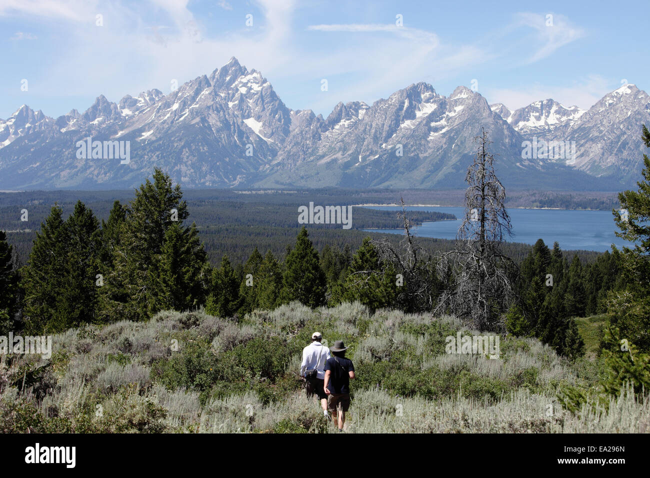 Due persone escursionismo nelle selvagge del Parco Nazionale di Grand Teton Foto Stock