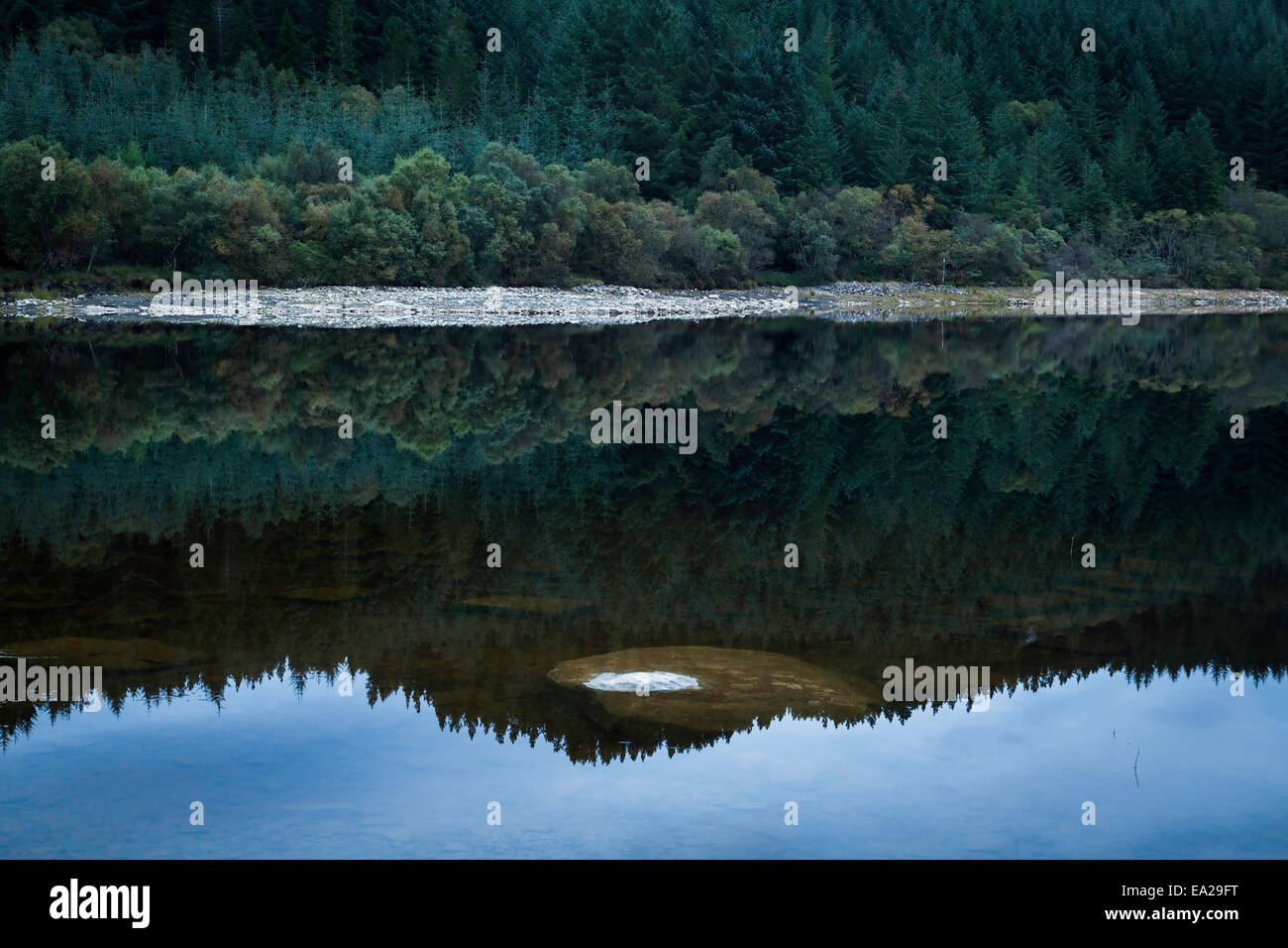 Foresta di Pini riflessioni in Loch Lundie, Wester Ross, Scozia Foto Stock