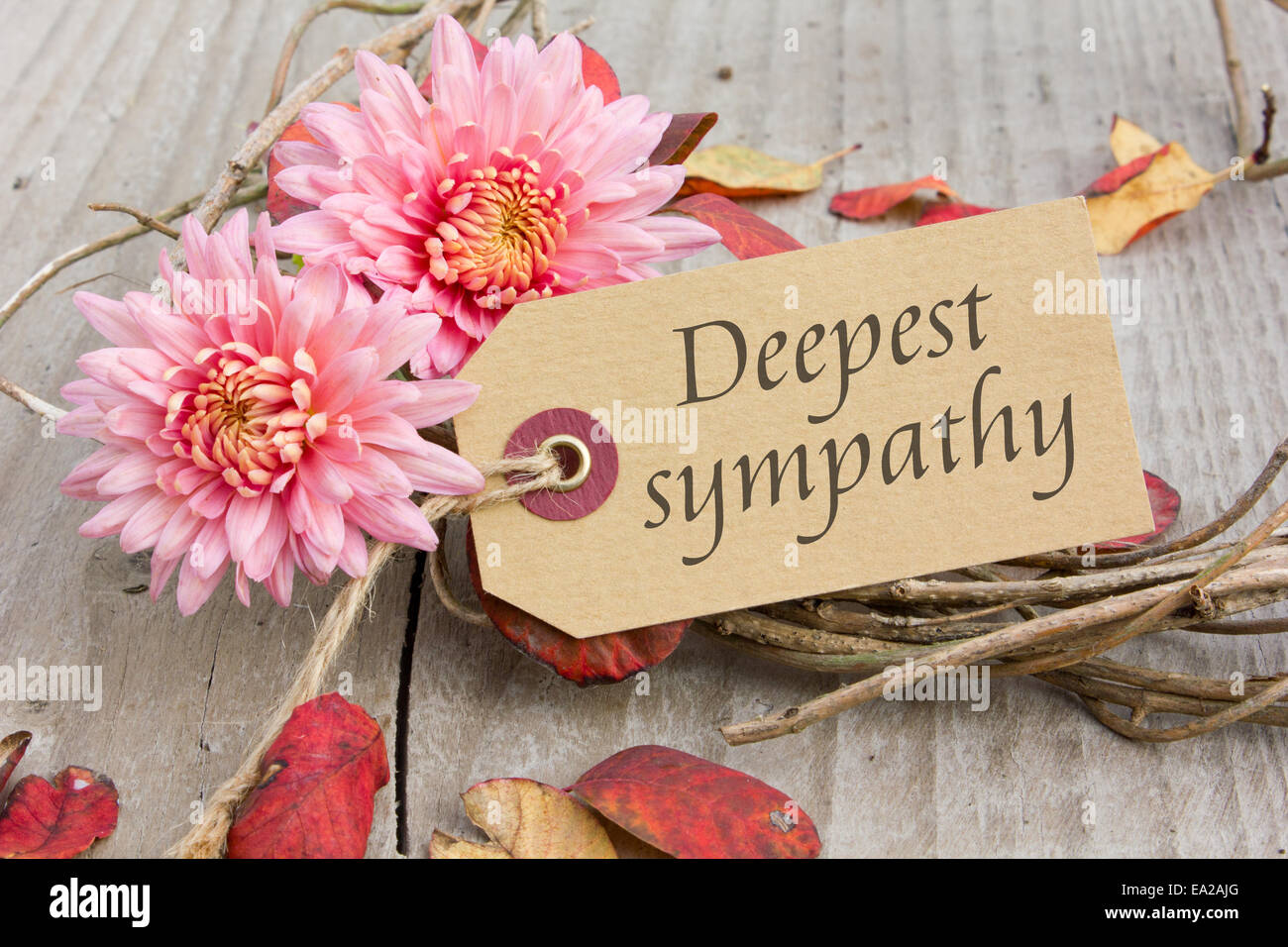 Inglese scheda di lutto con chrysanthemus e foglie di autunno Foto Stock