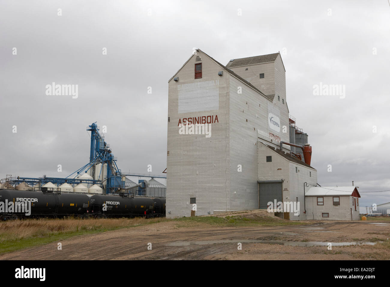Silos landmark assiniboia in Saskatchewan in Canada Foto Stock