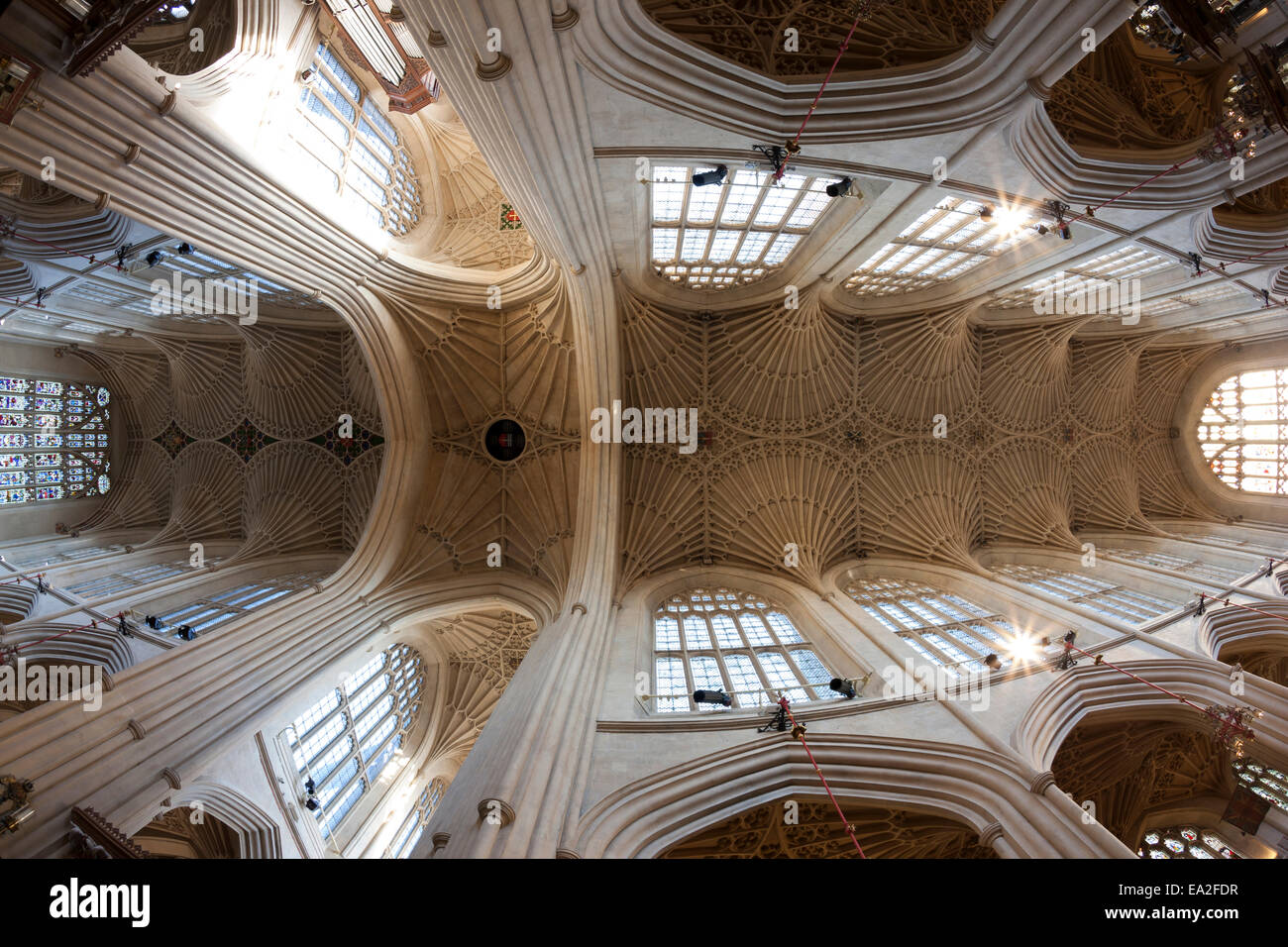 Il bellissimo e delicato ventilatore soffitto a volte di Abbazia di Bath in bagno, Somerset Foto Stock