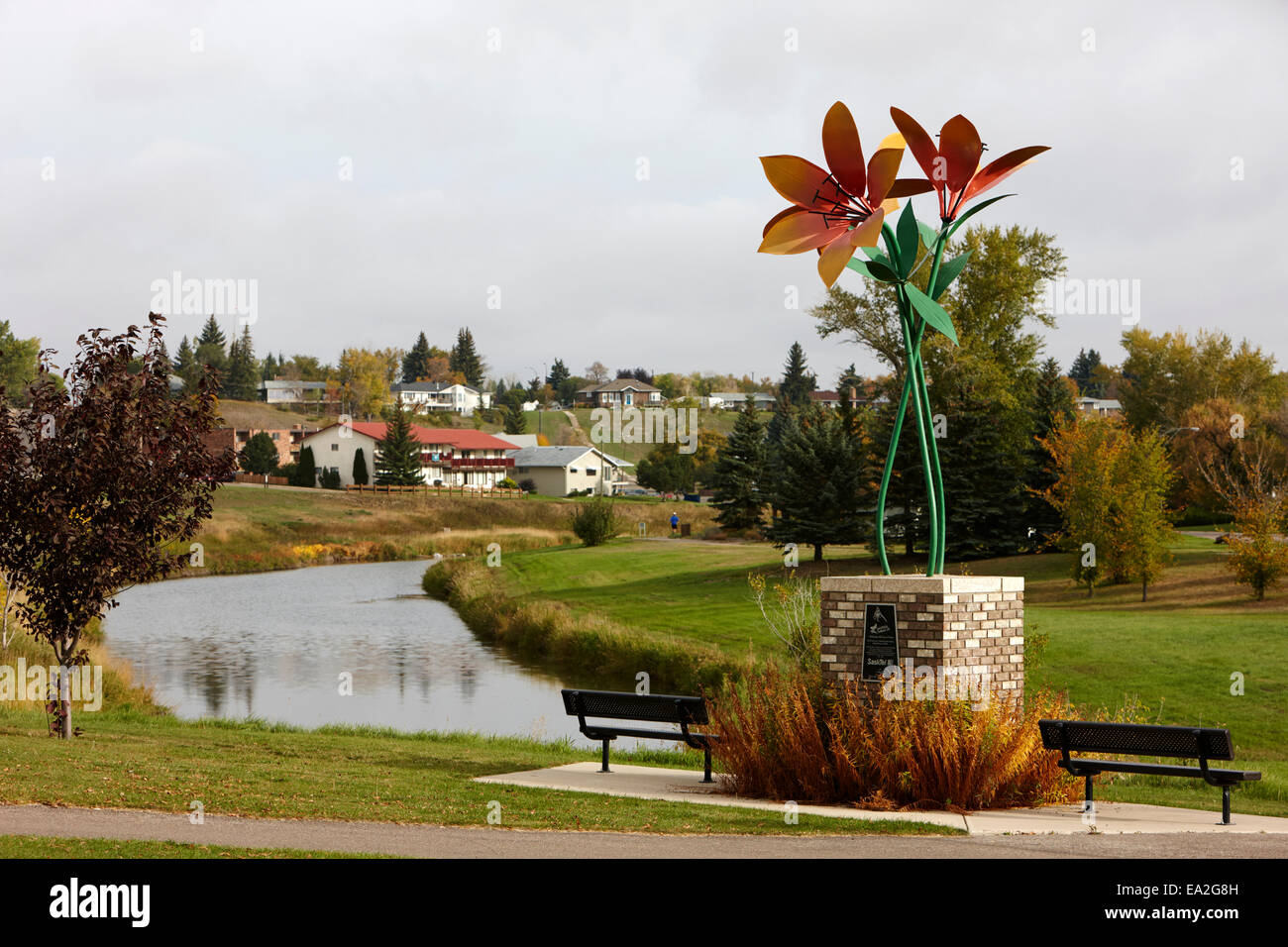 Prairie lily scultura in corrente di swift creek Saskatchewan Canada Foto Stock