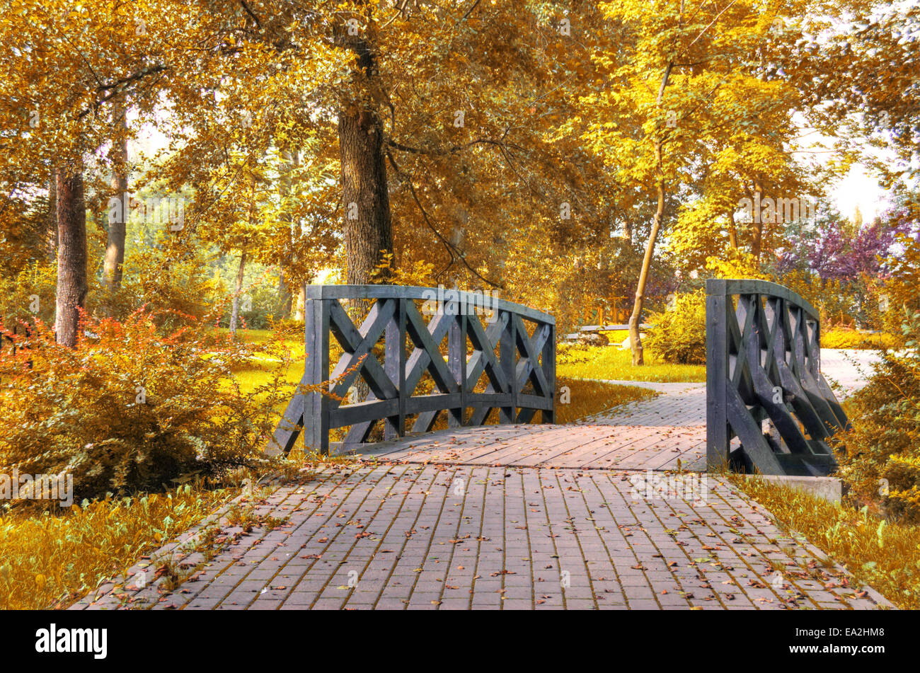 Scenario d'autunno. Splendido oro rientrano nel parco. Foto Stock