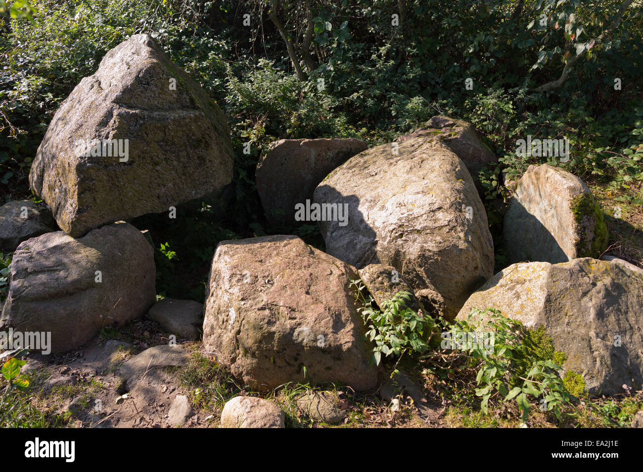 Tomba megalitica vicino Lancken-Granitz, Rügen, Meclemburgo-Pomerania Occidentale, Germania, Europa Foto Stock