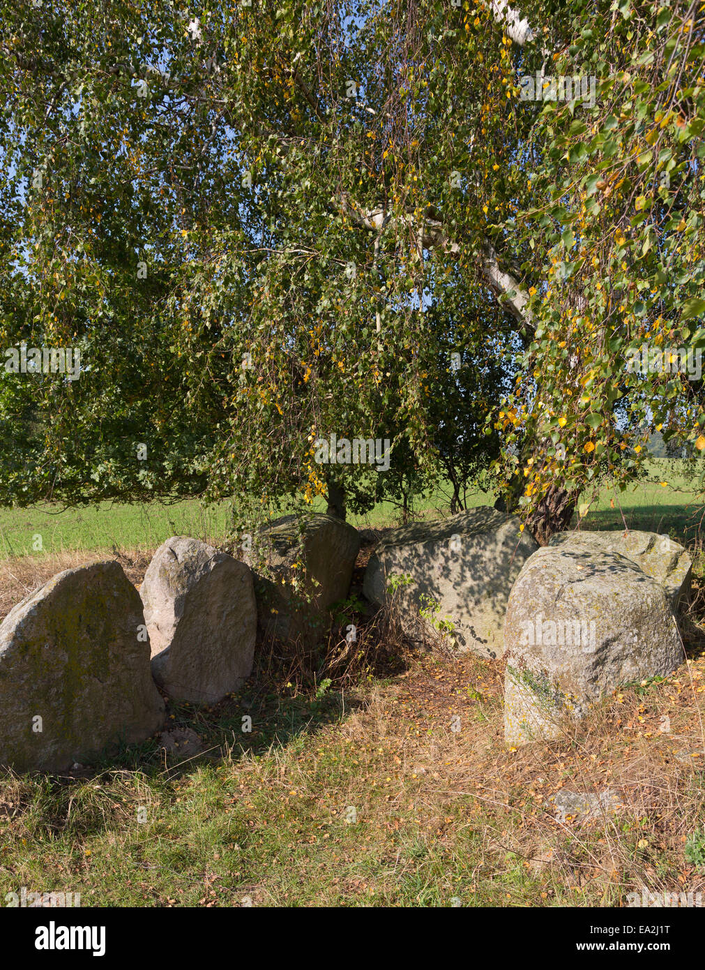 Tomba megalitica vicino Lancken-Granitz, Rügen, Meclemburgo-Pomerania Occidentale, Germania, Europa Foto Stock
