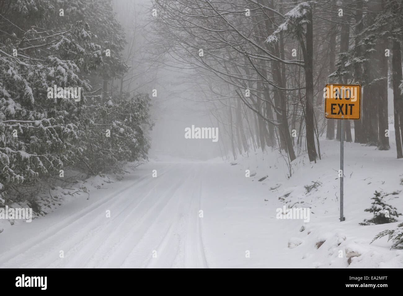 Strada invernale e gli alberi coperti di neve con Giallo nessun segno di uscita Foto Stock