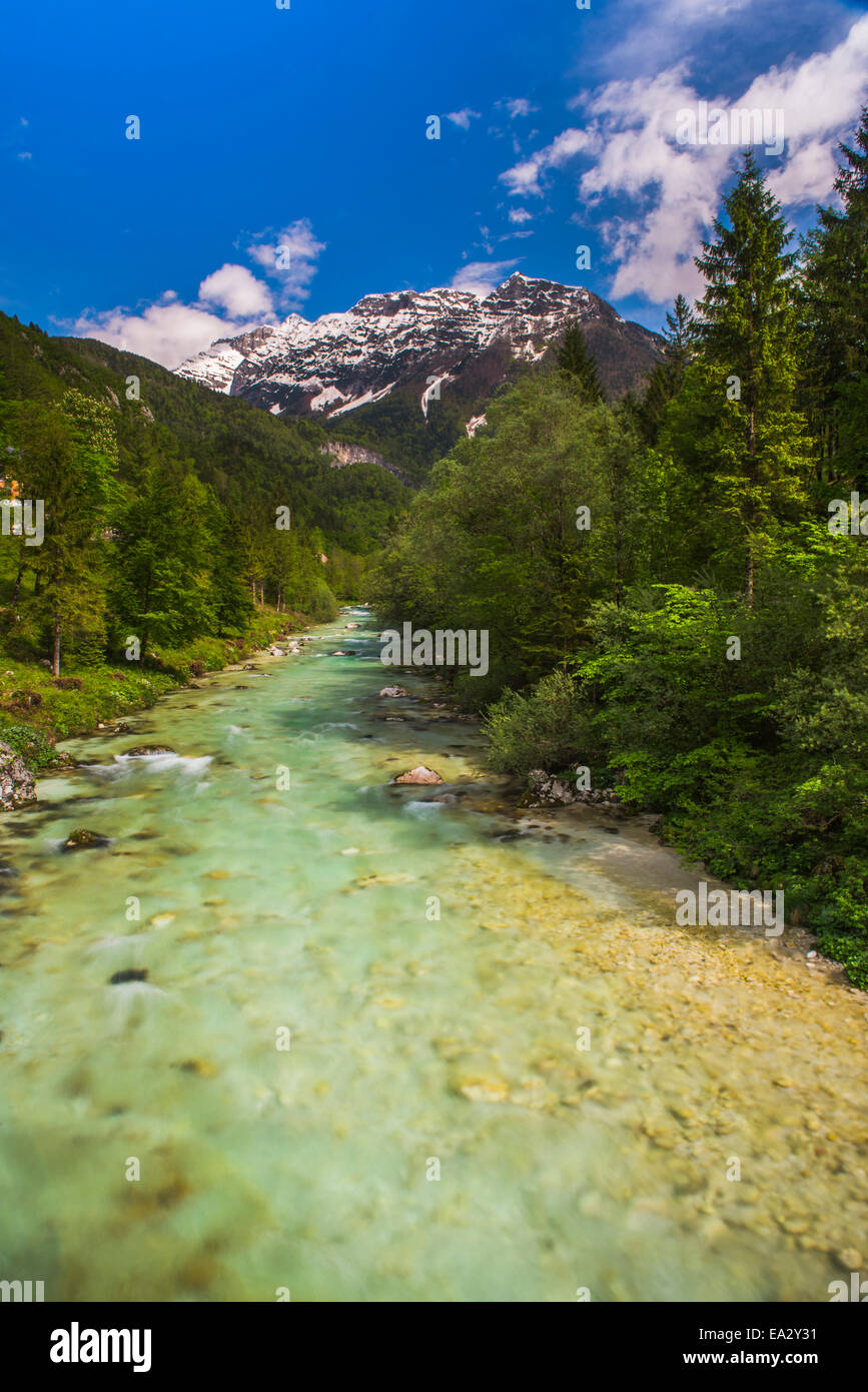 Soca River e Alpi Giulie nel Soca Valley, il Parco Nazionale del Triglav (del Tricorno narodni park), Slovenia, Europa Foto Stock