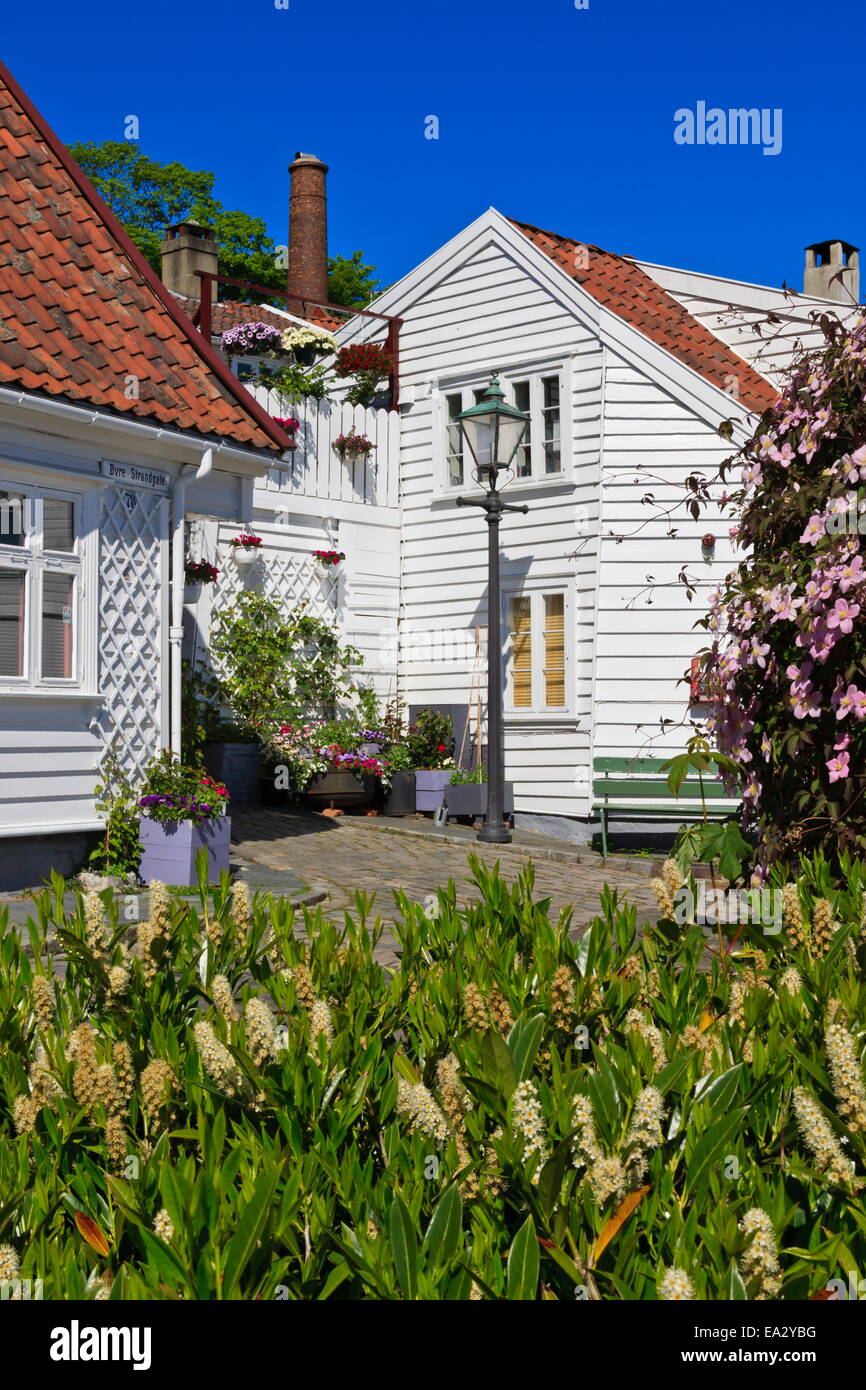 Strada di ciottoli, fiori e case di legno sotto un cielo blu, Old Stavanger (Gamle Stavanger), Stavanger, Norvegia e Scandinavia Foto Stock