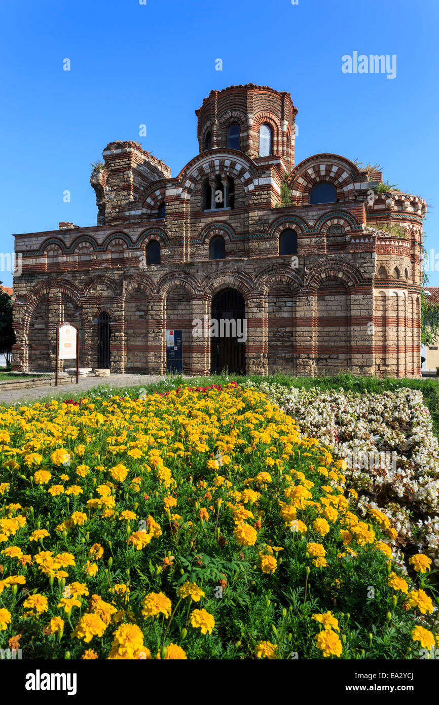 Fiore di frontiera, Chiesa di Cristo Pantocrator Nesebar (Nessebar), il Sito Patrimonio Mondiale dell'UNESCO, il litorale del Mar Nero, Bulgaria, Europa Foto Stock