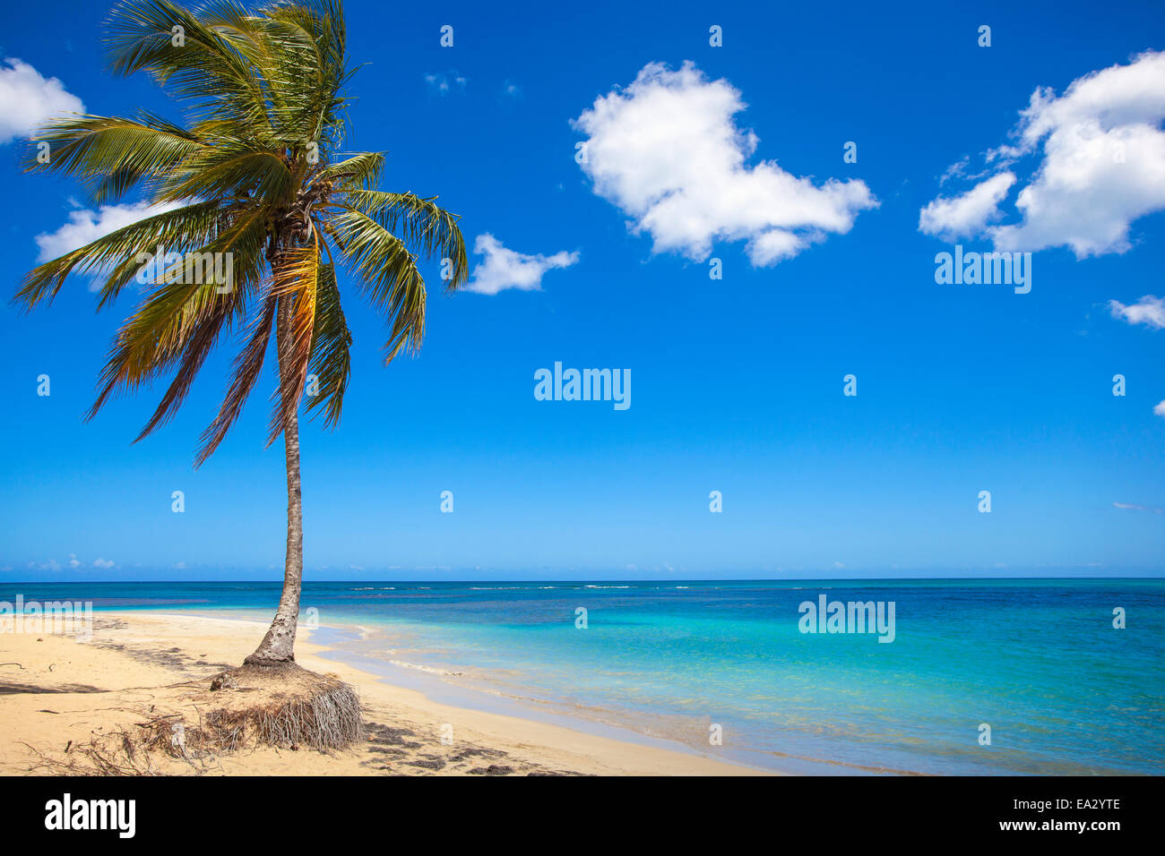El Portillo Beach, Las Terrenas, penisola di Samana, Repubblica Dominicana, West Indies, dei Caraibi e America centrale Foto Stock